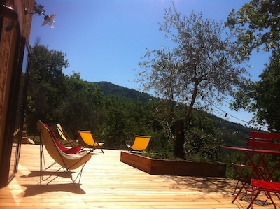 Pequeña casa de campo en olivar con piscina