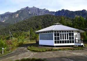 Terras
