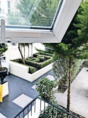 Vista desde la habitación