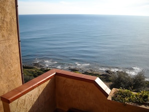 Beach/ocean view
