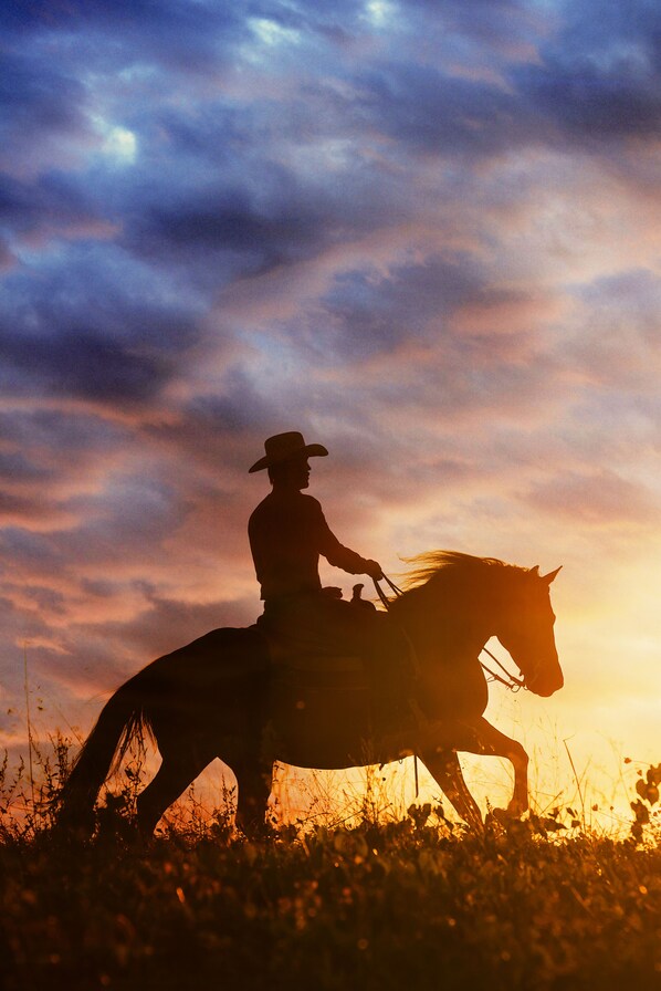 Reiten