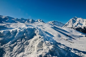 Skidåkning