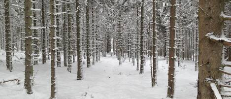 Desportos de neve e esqui