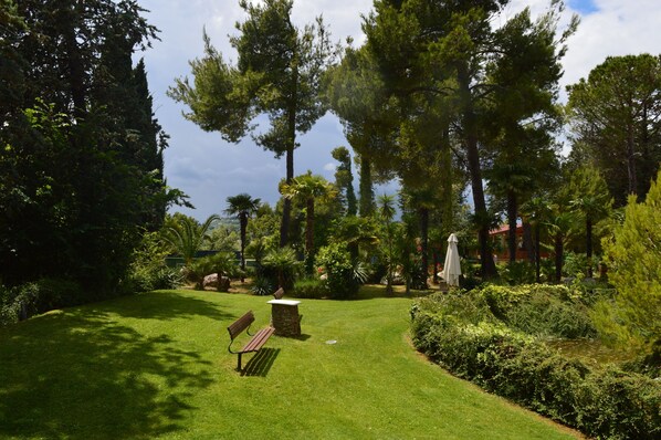 Giardino