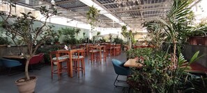 Terassi/patio