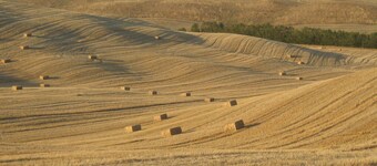 Agriturismo San Giorgio