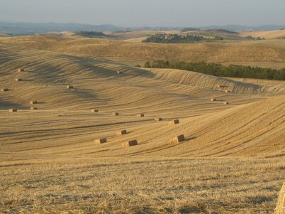 Agriturismo San Giorgio