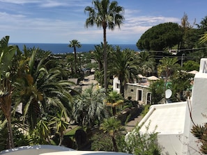 Blick vom Balkon