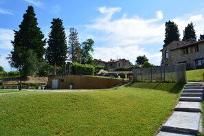 Trädgård
