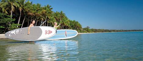 Paseos en barco