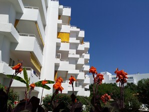 Vista frontal de la propiedad