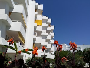 Vista frontal de la propiedad
