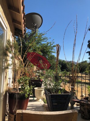 Terraço/pátio interior