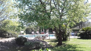Trädgård