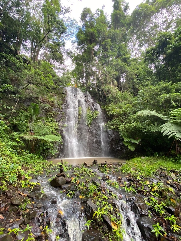 Fuente