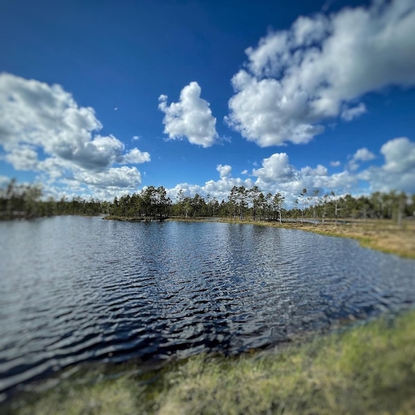 Lago