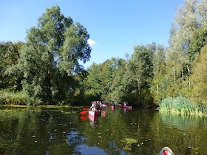 Kayak