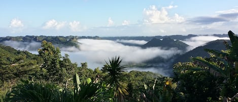 Mist over the lake. Usually in the morning but not every day. 