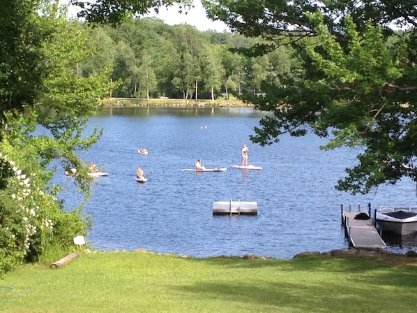 Paddle boards playing in the bay. Note the swim platform for all to use!
