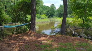 Hammock Spot next to Estuary