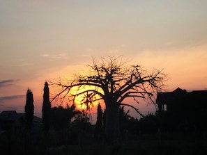 Neighborhood Street in the evening