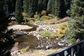 Blue River in backyard