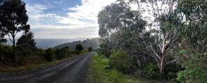 Explore our tracks looking for koalas.