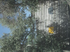 Boendeområde