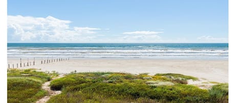 Full View Of Ocean and Beach