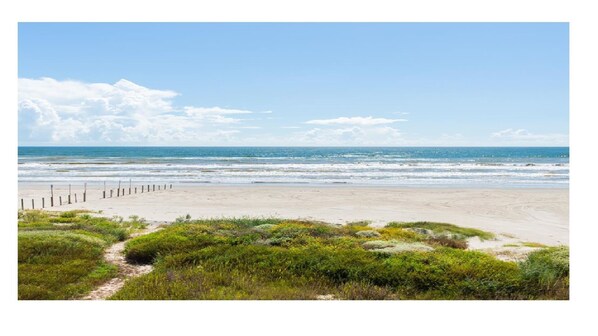 Full View Of Ocean and Beach