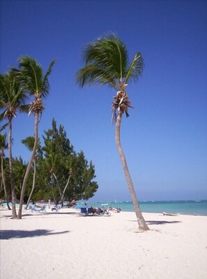 Relax on Soft, White Sandy Beach among the Swaying Palms