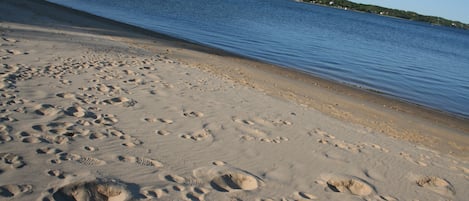 this is the beach right in the backyard