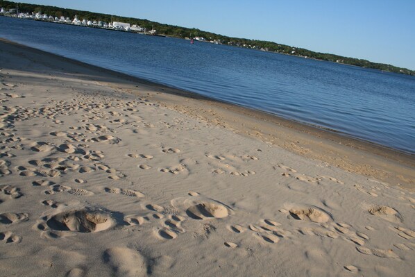 this is the beach right in the backyard