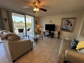 Living Room View 2