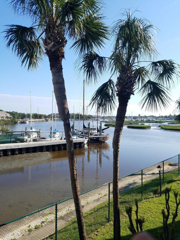 Balcony View