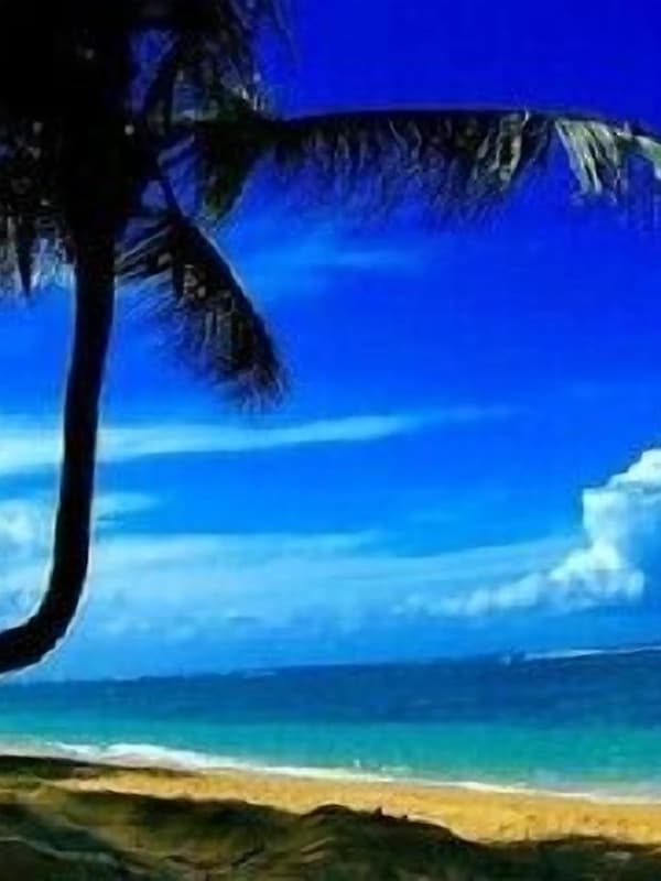Located Directly on the Beach