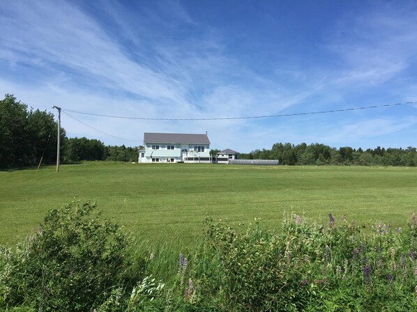 Boendeområde
