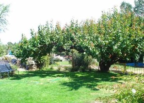 Tinkers Cottage Lawn