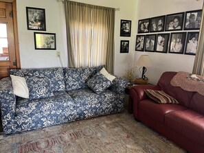 Queen sofa sleeper. 