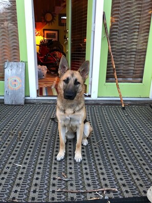 Well-behaved pets are welcome! 
