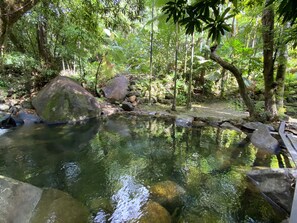The prettiest swimming hole in the Daintree can be all yours