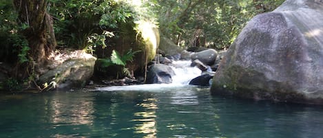 The beautiful swimming hole and cascades at Daintree Secrets