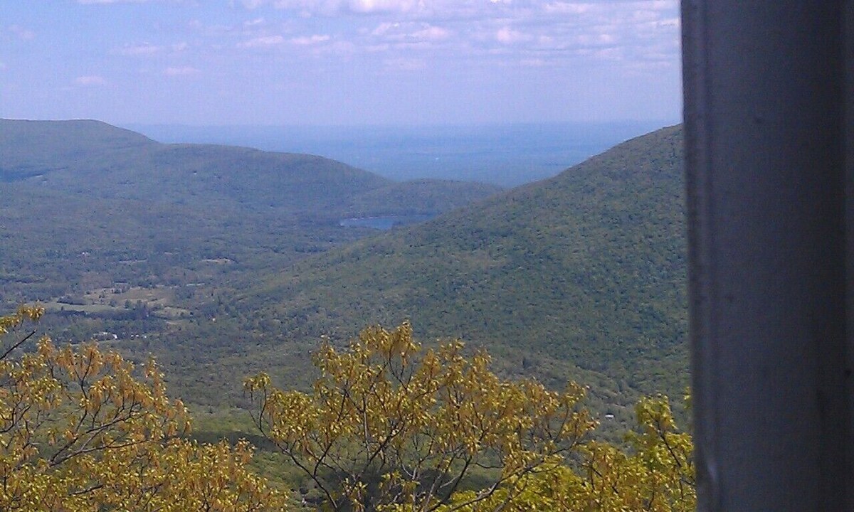 Main Image