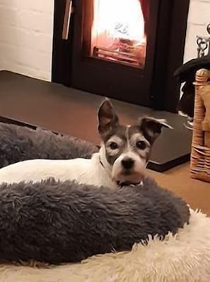 relaxing in front of the log burner