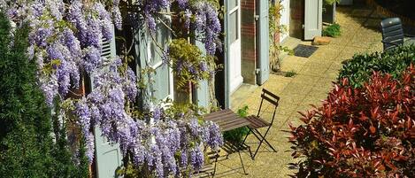 Gite Wisteria - this is where you could be staying.  All doors face the garden.