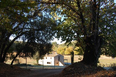 Finca "El Zurrador", finca agrícola, ganadera y forestal con Alojamiento Rural. 