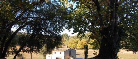 Finca agrícola, ganadera y forestal "El Zurrador" (Fuenteheridos)