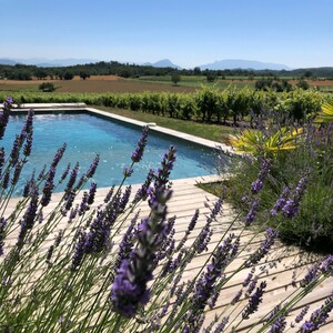 CHARMING  HOUSE WITH SUPERB SWIMMING POOL NEAR THE GRAND COLOMBIER.