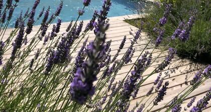 CHARMING HOUSE WITH SUPERB SWIMMING POOL NEAR THE GRAND COLOMBIER.