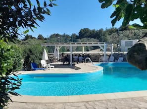 The large kidney-shaped swimming pool and the gazebo.